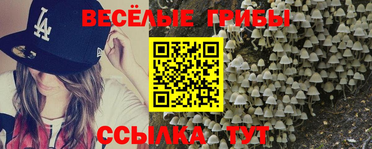 Псилоцибиновые грибы ЛСД  Псилоцибиновые грибы прущие грибы  Нарткала  Вход с VPN 