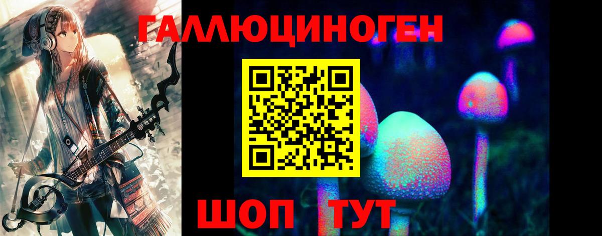 Псилоцибиновые грибы Psilocybe Нарткала