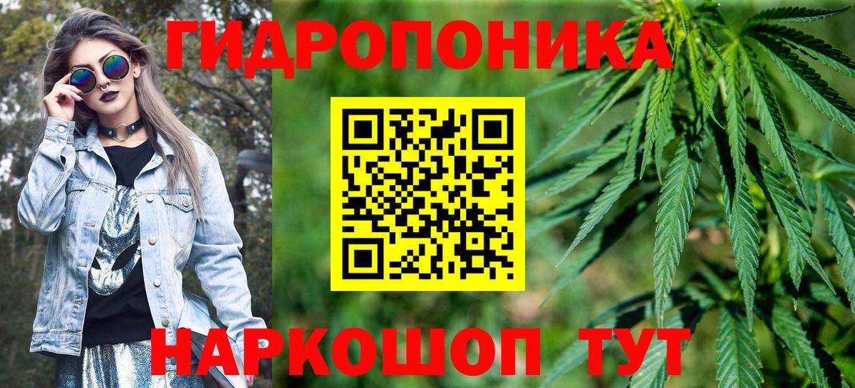 Бошки Шишки AK-47  Каннабис ГИДРОПОН  Нарткала  Вход с VPN  Бошки Шишки MAZAR 